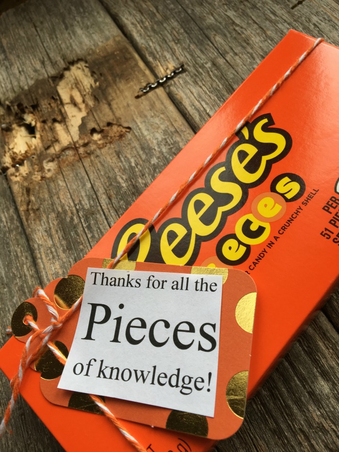 reeses-pieces-thank-you-gift